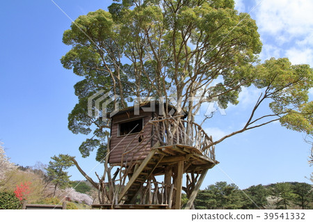 Inatori高原草坪露天場所的樹上小屋 39541332