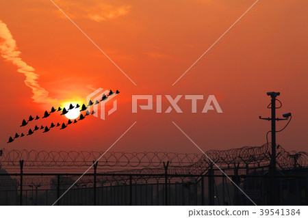 birds fly against a sunset sky 39541384