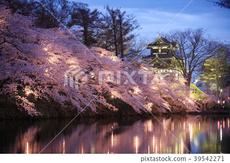 Cherry blossoms at Takada Park Cherry blossoms at Takada Park 39542271