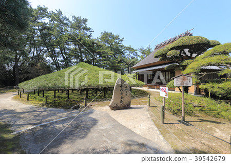 Marugame City, Kagawa Prefecture "Nakatsu Universal Garden" Obaramatsu and Momaya 39542679