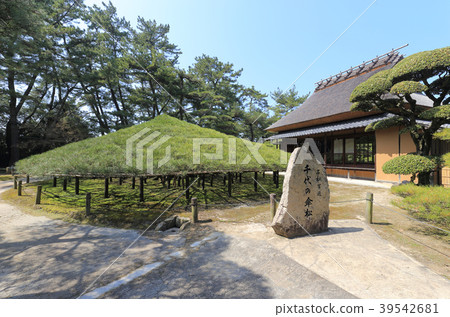 香川縣丸龜市“Nakatsu Universal Garden”Obaramatsu和Momaya 39542681