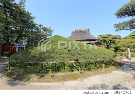 Marugame City, Kagawa Prefecture "Nakatsu Universal Garden" Obaramatsu and Momoya, Inari 39542701