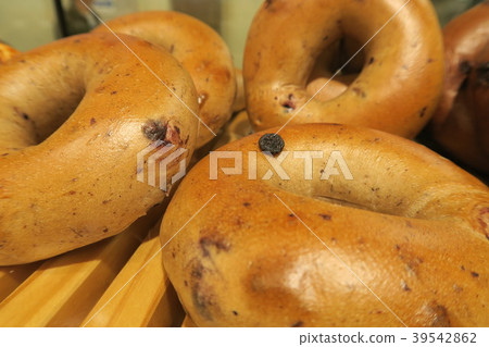 bagel bagel 39542862