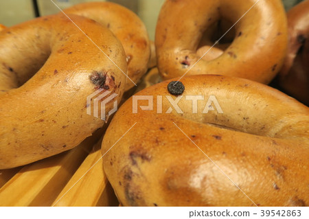 bagel bagel 39542863