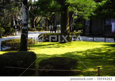 Garden designated as a cultural property special scenic spot Garden designated as a cultural property special scenic spot 39544263