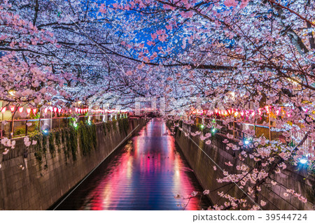 Megurogawa Sakura Festival 2018 Megurogawa Sakura Festival 2018 39544724