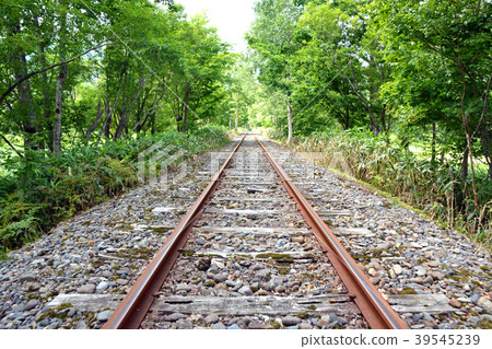 Torokko Kingdom Mist 39545239