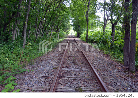 Torokko Kingdom Mist Torokko Kingdom Mist 39545243