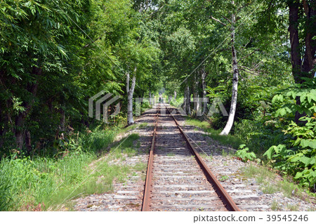 Torokko Kingdom Mist 39545246