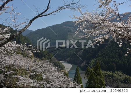 Sendo Ohashi在高知縣高山市山崎的春天 Sendo Ohashi在高知縣高山市山崎的春天 39546233