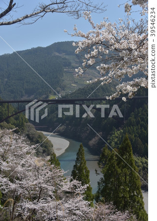 Senddo Ohashi在未開發的領域 Senddo Ohashi在未開發的領域 39546234