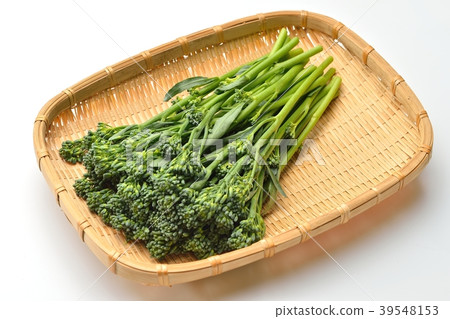 Caution: Small rubbish and small scratches remain on the white background. Stick senor (stem broccoli), vegetables. Caution: Small rubbish and small scratches remain on the white background. Stick senor (stem broccoli), vegetables. 39548153