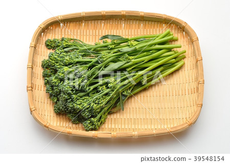 Caution: Small rubbish and small scratches remain on the white background. Stick senor (stem broccoli), vegetables. Caution: Small rubbish and small scratches remain on the white background. Stick senor (stem broccoli), vegetables. 39548154