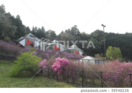 Yayoi小河接觸村莊八王子,東京 Yayoi小河接觸村莊八王子,東京 39548226