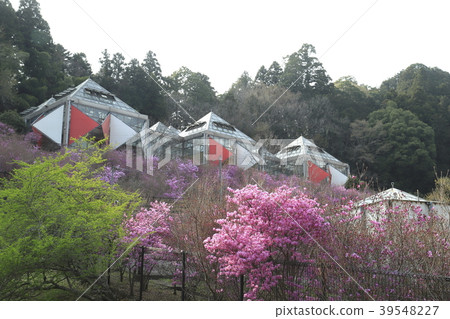 Yayoi小河接觸村莊八王子,東京 Yayoi小河接觸村莊八王子,東京 39548227