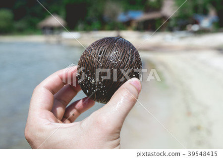 Coconut, beach, hand 39548415