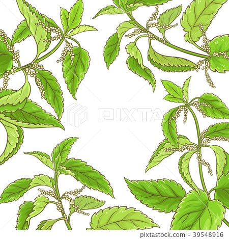 nettle vector frame 39548916
