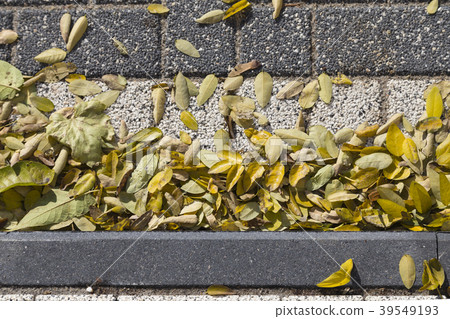 Beautiful autumn sketches. 39549193