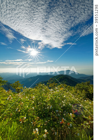 A view of the Noybara flower and the front ridge and Oyama area of Tanzawa and Tonotake 39551298