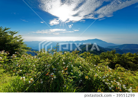 A view of the Noybara flower and the front ridge and Oyama area of Tanzawa and Tonotake 39551299
