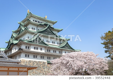 春天名古屋城堡 39552448