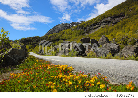 Picturesque Norway road 39552775