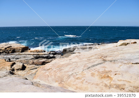 Senjojiki Senjojiki 39552870