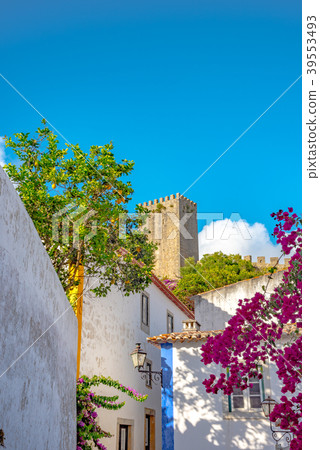 The landscape of Obidos The landscape of Obidos 39553493