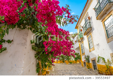 The landscape of Obidos The landscape of Obidos 39553497
