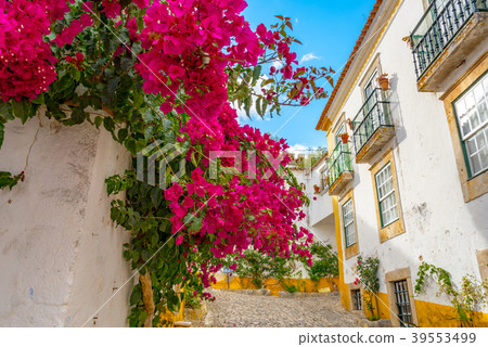 奧比都斯的風景 奧比都斯的風景 39553499