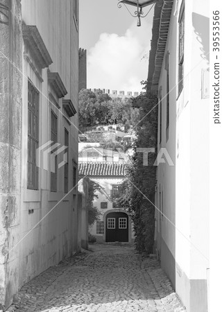 [單色]奧比多斯的景觀 39553566