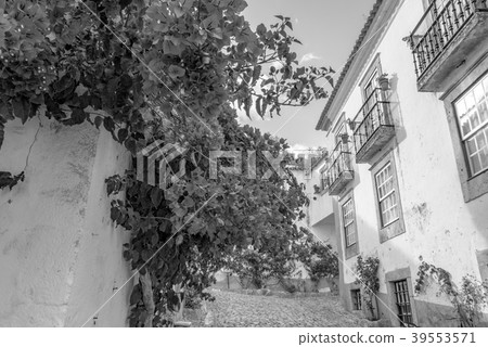 [Monochrome] Landscape of Obidos 39553571