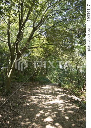 福岡 福岡 39554147