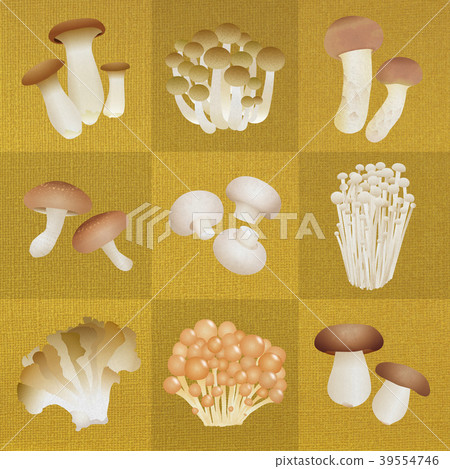 Mushrooms Various Mustard Mushrooms Various Mustard 39554746