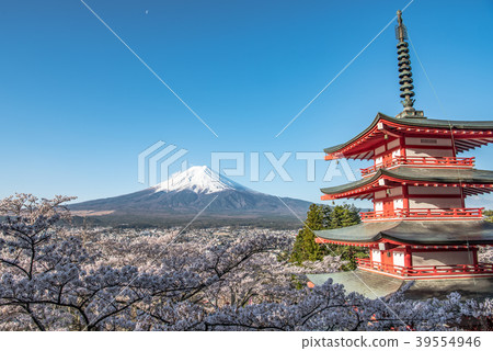 山梨縣·Shinagurayama淺間公園·春天 山梨縣·Shinagurayama淺間公園·春天 39554946