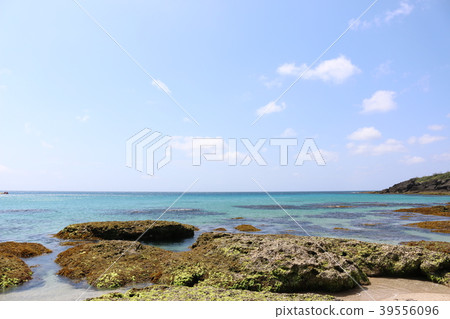 墾丁國家公園Hakusha海灘 墾丁國家公園Hakusha海灘 39556096