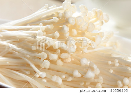 mushroom cuisine mushroom cuisine 39556395