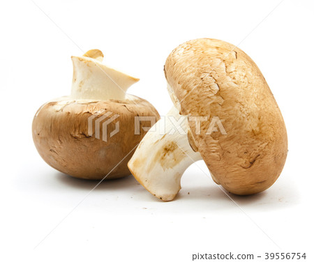 fresh champignons brown version isolated fresh champignons brown version isolated 39556754