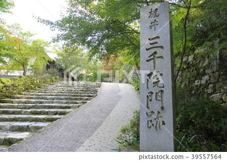 Kyoto Sanzenin 39557564
