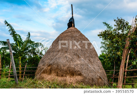 Straw. Straw. 39558570