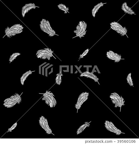 Monochrome black white feathers embroidery 39560106