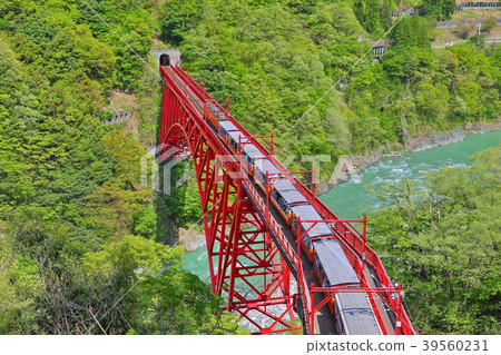 深綠色黑部峽谷Shinyamahiko橋 39560231