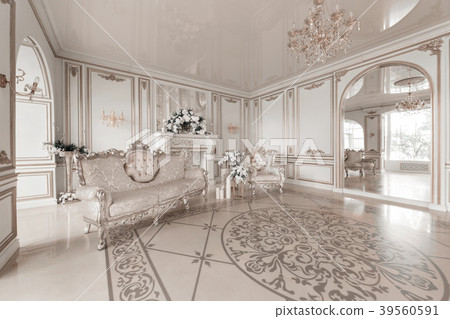 Luxurious vintage interior with fireplace in the Luxurious vintage interior with fireplace in the 39560591