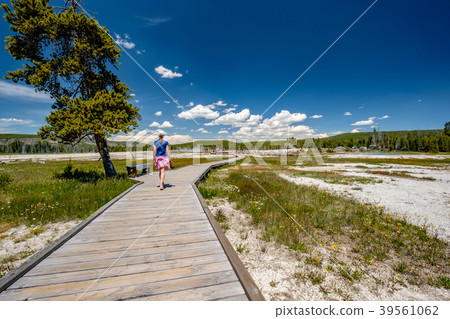 Tourist with camera hiking in Yellowstone Tourist with camera hiking in Yellowstone 39561062