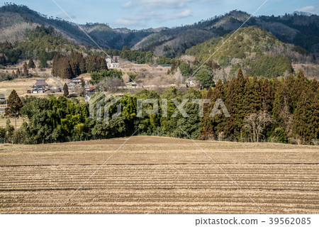 春天在京丹波町的山田 春天在京丹波町的山田 39562085