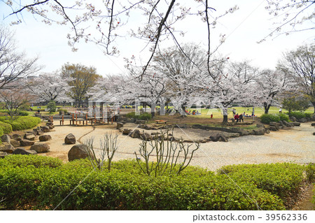 櫻花在東京江東區龜戶中央公園 39562336