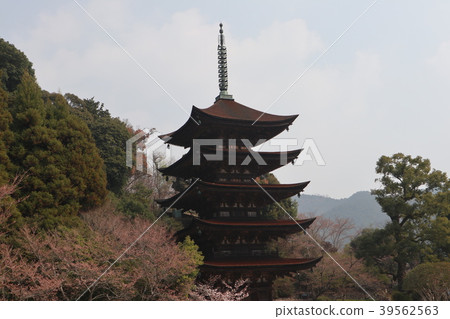早春山口祥子寺的五層寶塔 照片素材 圖片 圖庫