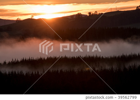 日出 日出 39562799