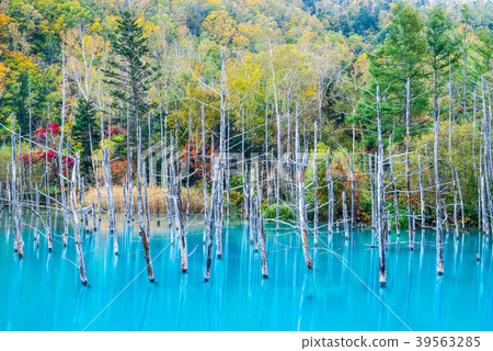 Blue pond Autumn (Hokkaido Kamikawa-gun Biei-cho Shirokane) October 2017 taken 39563285