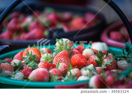 fresh strawberry on Mon Jam market Chiang Mai fresh strawberry on Mon Jam market Chiang Mai 39563324